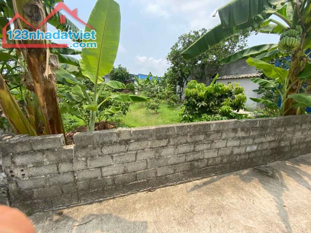 bán đất thanh hồng, thanh hà, phân lô, ô tô, 400m x 12m, giá rẻ chỉ 11,5 tỷ. - 1