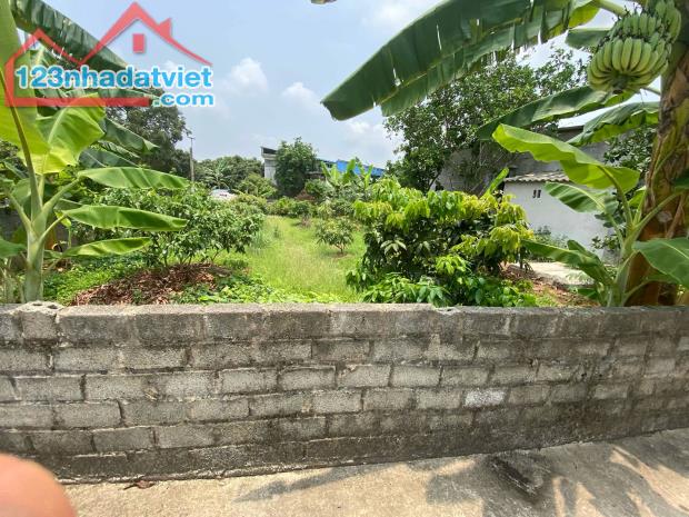 bán đất thanh hồng, thanh hà, phân lô, ô tô, 400m x 12m, giá rẻ chỉ 11,5 tỷ. - 3