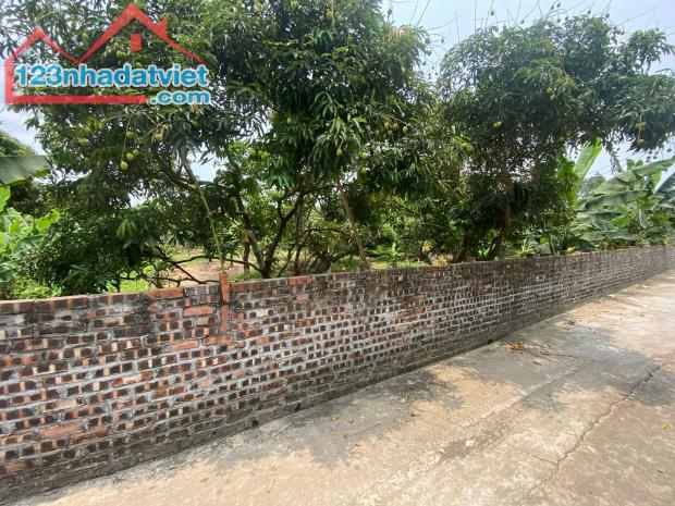 bán đất tại xã thanh hồng 260m x 8m ô tô khu phân lô giá rẻ chỉ 7 tỷ.