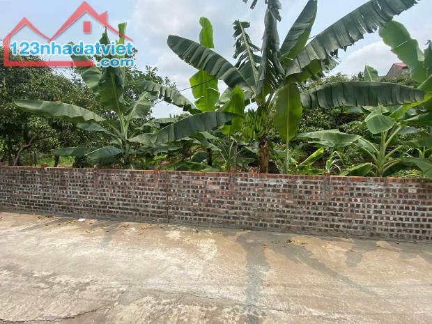 bán đất tại xã thanh hồng 260m x 8m ô tô khu phân lô giá rẻ chỉ 7 tỷ. - 1
