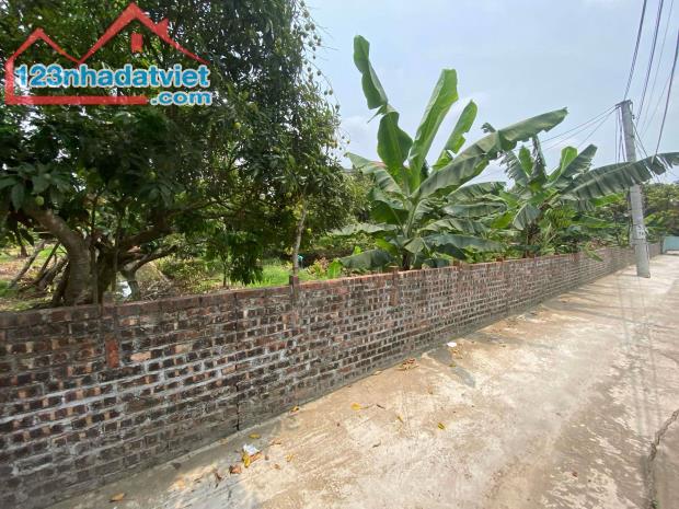 bán đất tại xã thanh hồng 260m x 8m ô tô khu phân lô giá rẻ chỉ 7 tỷ. - 2