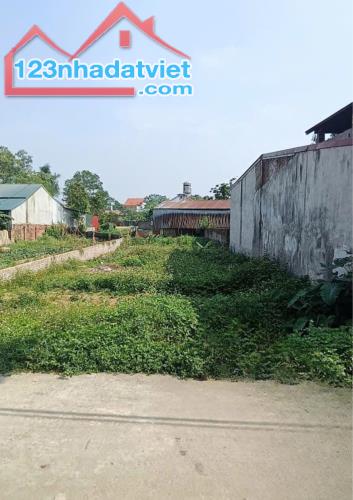 Siêu lô đất 280m² – Sơn Đoài  - Tân Minh   - Đất đẹp – Vị trí vàng   Xây  nhà -Đầu tư - 4