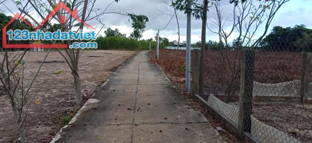 Bán 1176m2 đất ONT Tân Thắng - Huyện Hàm Tân giá ngộp chỉ 800 triệu - 2