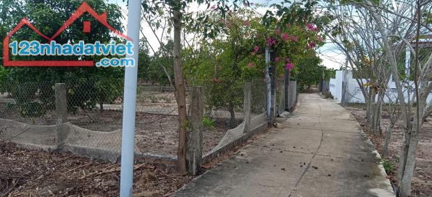 Bán 1176m2 đất ONT Tân Thắng - Huyện Hàm Tân giá ngộp chỉ 800 triệu - 3