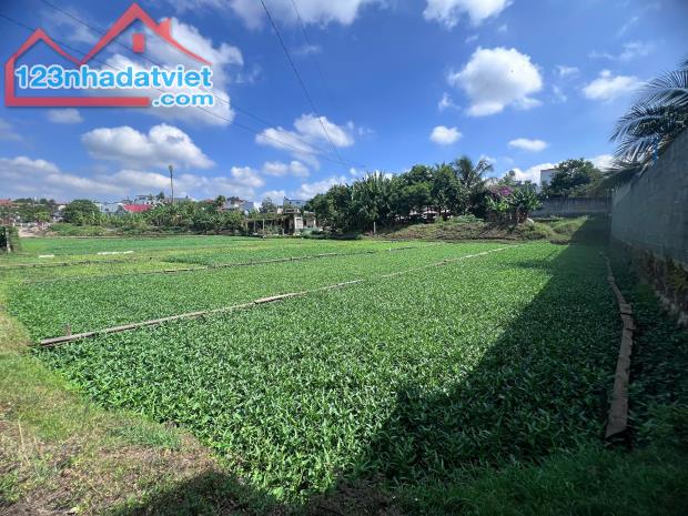Bán 1 chiếc View xịn xò hơn 2.000m2 trong lòng thành phố.  6 phút tới ngã sáu BMT. 13,9 Tỷ - 1
