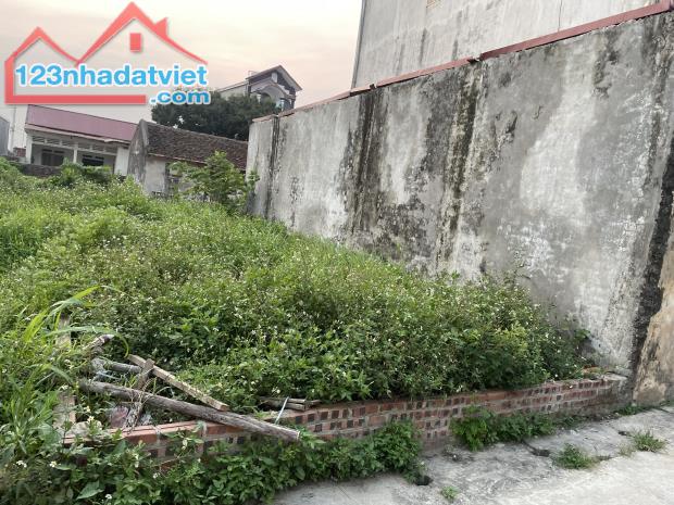 Bán đất Thị trấn Quang Minh – Mê Linh –HN. - 2
