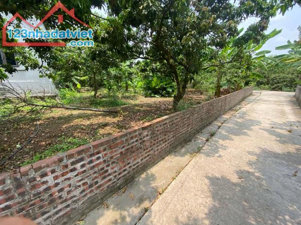🔥 Bán đất mặt đường trục chính xã Thanh Hồng 150m ô tô chỉ 4.5 tỷ - 1