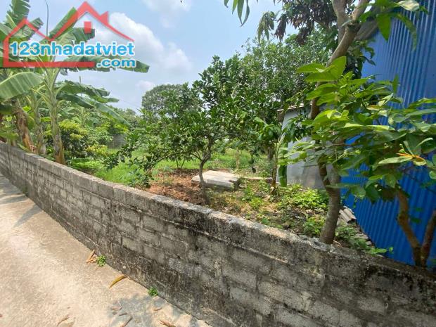 🔥 Bán đất mặt đường trục chính xã Thanh Hồng 150m ô tô chỉ 4.5 tỷ - 2