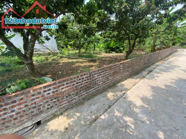 🔥 Bán đất mặt đường trục chính xã Thanh Hồng 150m ô tô chỉ 4.5 tỷ - 3
