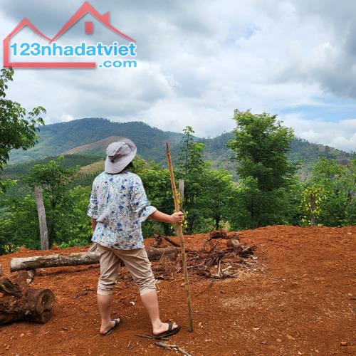 Bán miếng đất 2ha bên suối hoang sơ và kỳ vĩtại Đắk Song - 1