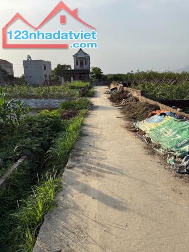 Bán đất thôn Bắc Thượng, Quang Tiến, Sóc Sơn, HN. Gần đường DT 131 và sân bay Nội Bài - 1