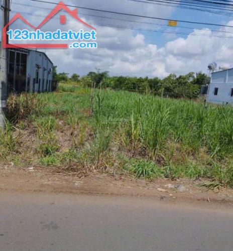 CHÍNH CHỦ BÁN ĐẤT MẶT TIỀN Nhựa Sân Bay LONG THÀNH - Vị Trí Tai : Cẩm Đường -  Long Thành - 1