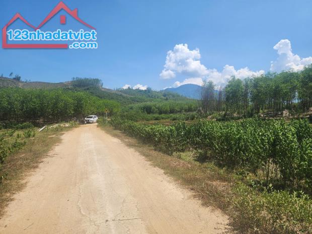 Bán đất vườn Diên Đồng giá rẻ mặt đường bê tông thông thoáng
