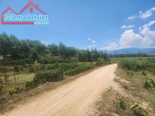Bán đất vườn Diên Đồng giá rẻ mặt đường bê tông thông thoáng - 1