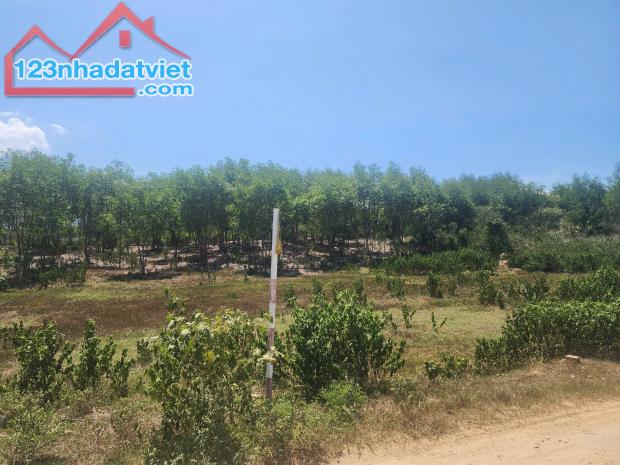 Bán đất vườn Diên Đồng giá rẻ mặt đường bê tông thông thoáng - 2