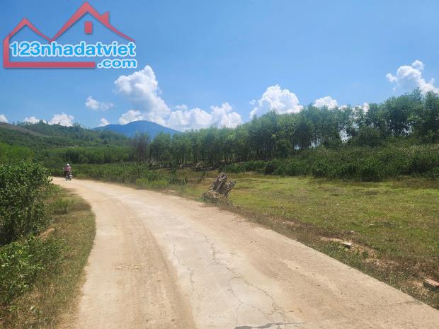 Bán đất vườn Diên Đồng giá rẻ mặt đường bê tông thông thoáng - 3