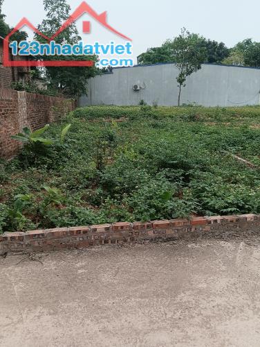 Bán Đất - Xã Tân Minh (Sóc Sơn)-88m2 Full Thổ Cư Đường Thông Ô TÔ -2,08Tỷ - 1