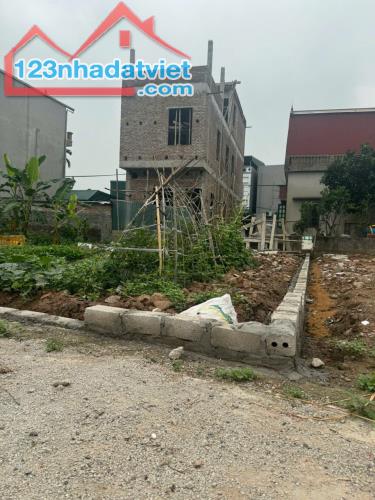 SỞ HỮU NGAY LÔ ĐẤT ĐẸP - GIÁ TỐT - Vị Trí Đắc Địa Tại Thôn Tri Lễ, Xã Tân Ước, Huyện
