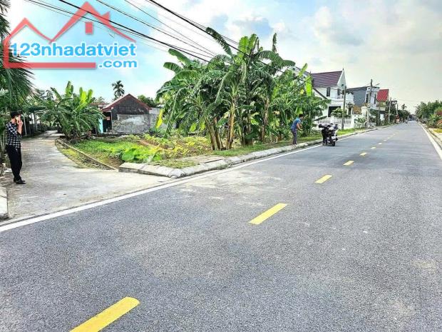- Lô góc mặt đường TDP Dân Tiến - Phường Minh Đức - Đồ Sơn. - 3