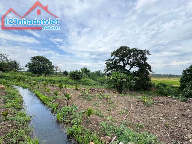 Chủ cần bán gấp nhanh gọn lô đất giá ngợp tại Định Quán - 1