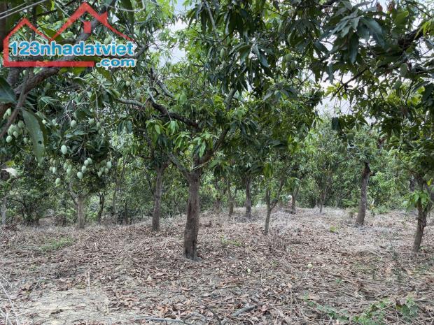 Chủ cần bán gấp nhanh gọn lô đất giá ngợp tại Định Quán - 2