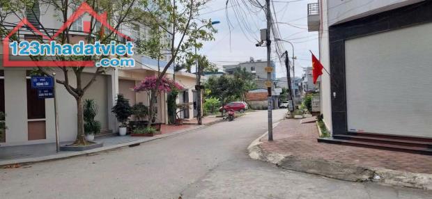 👉Cần đất Tại Phố Đặng Tất tặng nhà cấp 4, Phường Tân Bình, Hải Dương, - 1