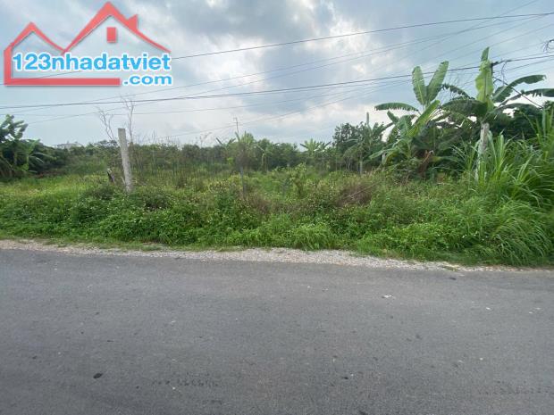 Bán lô đất mặt đường trục chính xã Thanh Hồng – 230m² full thổ cư, giá chỉ 6,5 tỷ bán đất