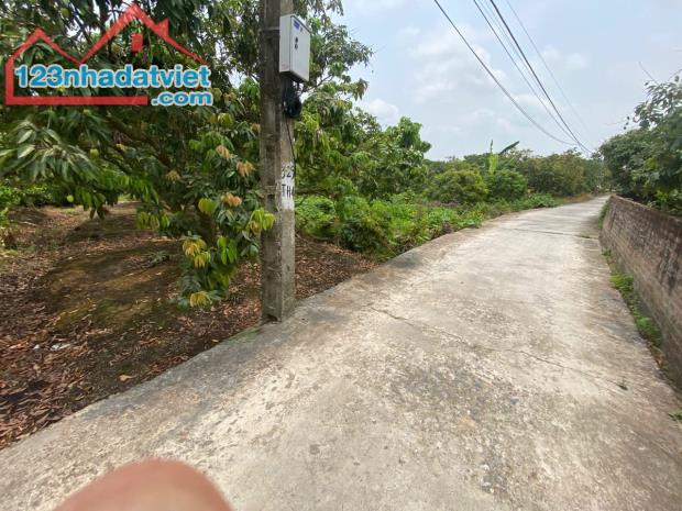 Bán lô đất mặt đường trục chính xã Thanh Hồng – 230m² full thổ cư, giá chỉ 6,5 tỷ bán đất - 1