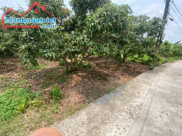 Bán lô đất mặt đường trục chính xã Thanh Hồng – 230m² full thổ cư, giá chỉ 6,5 tỷ bán đất - 3