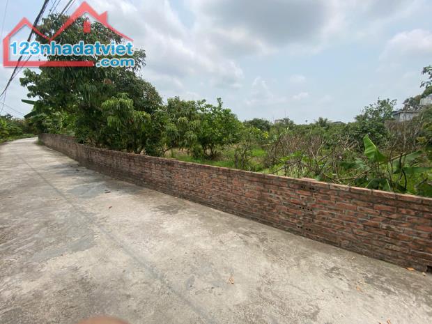 Bán lô đất mặt đường trục chính xã Thanh Hồng – 230m² full thổ cư, giá chỉ 6,5 tỷ bán đất - 4