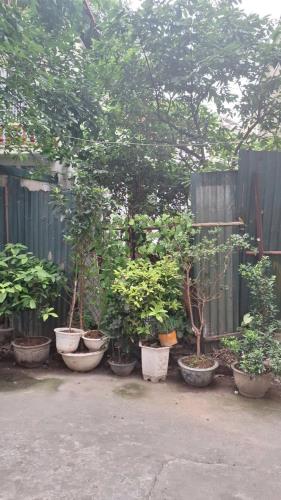 NHỈNH 6 TỶ, SÓT LẠI MẢNH ĐẤT VÀNG PHỐ HỒNG TIẾN 45M, 2 MẶT NGÕ, SÁT PHỐ, AN SINH TUYỆT VỜI - 2
