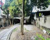 Bán  đất Thạch Cầu, Long Biên 215m  MT 10 giá 15 tỷ, KD, phù hợp xây biệt thự sân vườn,
