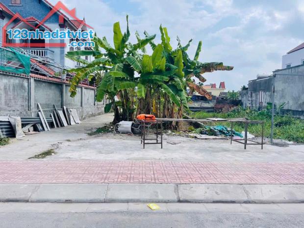 Bán đất Đại Đồng - Kiến Thụy - Hải Phòng - 1