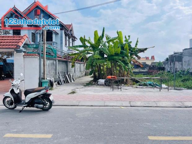 Bán đất Đại Đồng - Kiến Thụy - Hải Phòng - 5