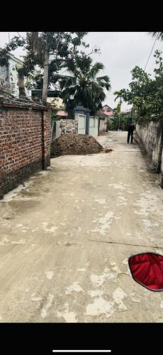 Bán đất  , Hiep An ,Kinh Môn ,HẢi Dương - 1