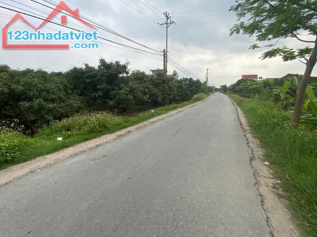 bán đất xã Thanh Hồng, Thanh Hà đường ô tô tránh 330m x 10m chỉ 10,2 tỷ. – Sổ đỏ sang tên - 3