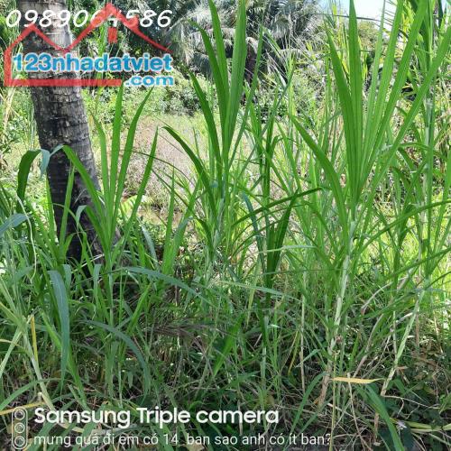 PLASH  DEAL !!! Chính chủ bán gấp 105 m2 full thổ cư 2 mặt tiền đường xe hơi 4m và mặt - 4