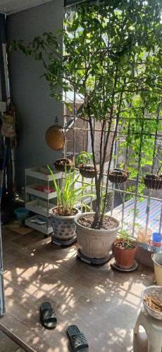 Cần bán nhà Phố Huế, trung tâm phố cổ, diện tích hơn 100m2, giá 4.25 tỷ