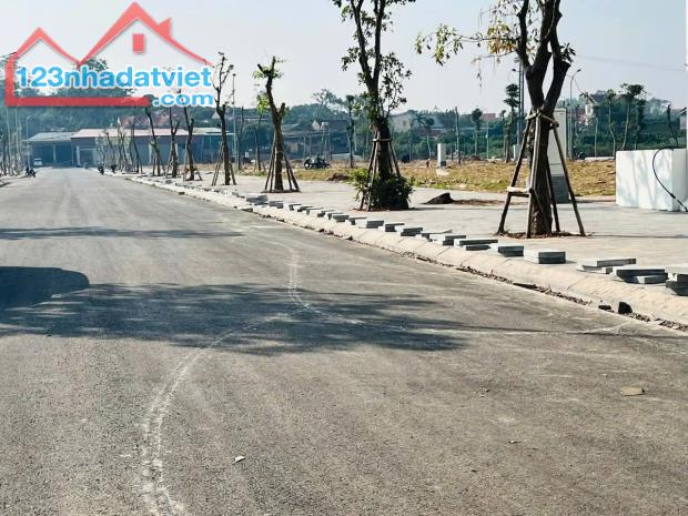Bán 93m lô đất nhỏ xinh tại Phương Sơn – Lục Nam - 2