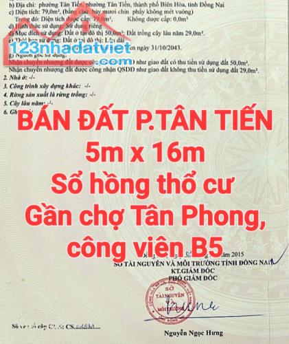 BÁN ĐẤT TÂN TIẾN, SỔ HỒNG THỔ CƯ GẦN CHỢ TÂN PHONG, CÔNG VIÊN B5 DƯƠNG TỬ GIANG - 1