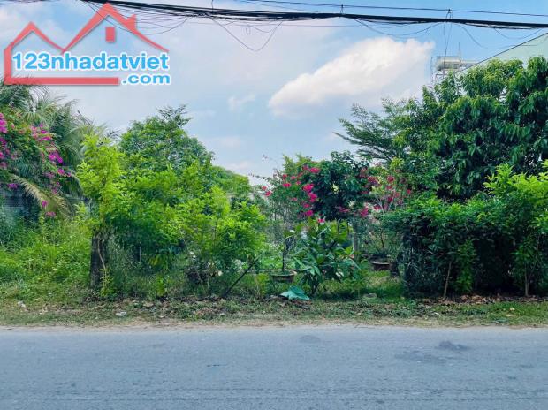 [Tin hot hôm nay] Đất Nền Mặt Tiền Tại Tân Thông Hội - Giá Cực Sốc