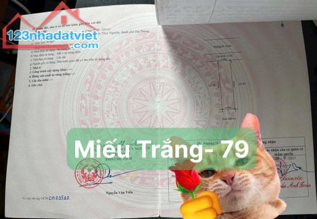 🛑 CỰC HIẾM- Khu này rất ít hàng bán ạ- Duy Nhất 1 lô tái định cư Miếu Trắng vị trí đẹp - 1