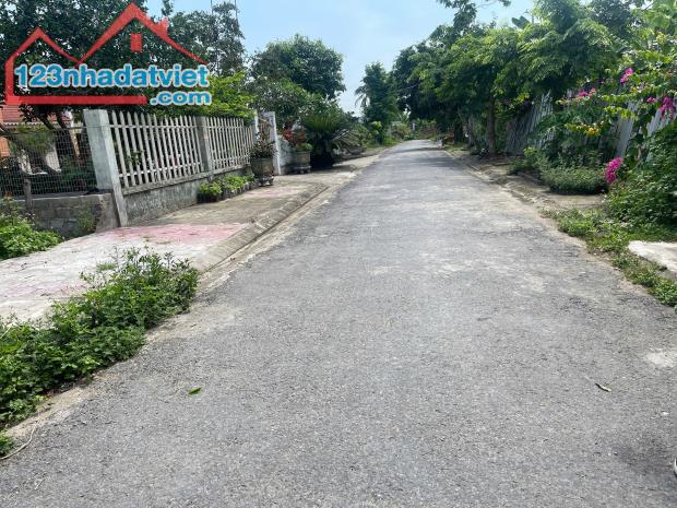 Bán lô 55m2 trục thôn Thọ Linh Minh Tân Kiến Thụy giá chỉ hơn 1 tỷ - 2