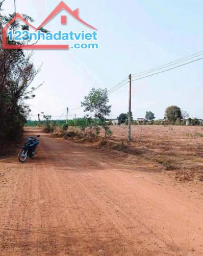 Cấn bán nhanh 2lô đất sào cách đương đt 753, 80m  giá 650tr - 1