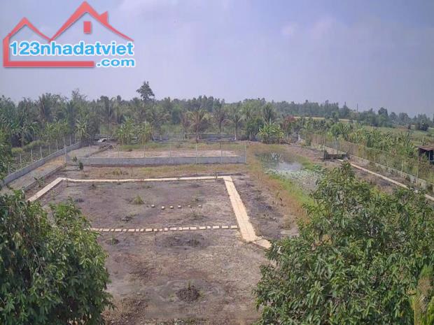 Quá rẻ Đất 0.5Ha, Nở hậu, Đ.4m – Trường Đông TN - 2