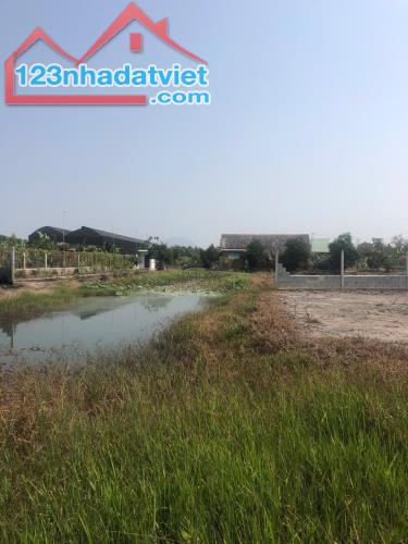 Quá rẻ Đất 0.5Ha, Nở hậu, Đ.4m – Trường Đông TN - 3