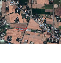 Chính Chủ Bán Nhanh Lô Đất Rộng 2935m2 Đẹp Tại Thuận Thành, Cần Giuộc Giá Chỉ 6.2 Tỷ - 3
