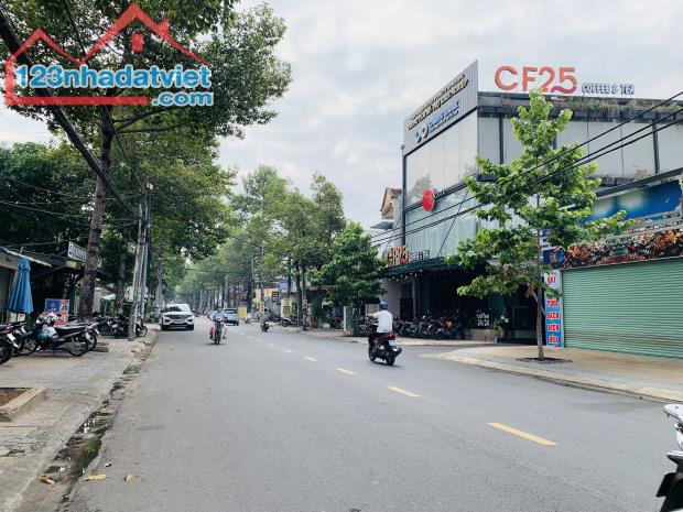 Bán Nhà Mặt Tiền Kinh Doanh Đường Trương Định , Phường Tân Mai, Biên Hòa 173m2 Gía 15Tỷ - 2