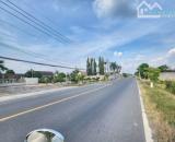 CHỦ ĐẤT CẦN TIỀN BÁN NHANH LÔ ĐẤT TÂN PHÚ TRUNG , CỦ CHI , SỔ HỒNG RIÊNG , BAO CÔNG CHỨNG