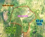 6,2ha đất rẫy giá rẻ trồng cà phê và tiêu sầu riêng